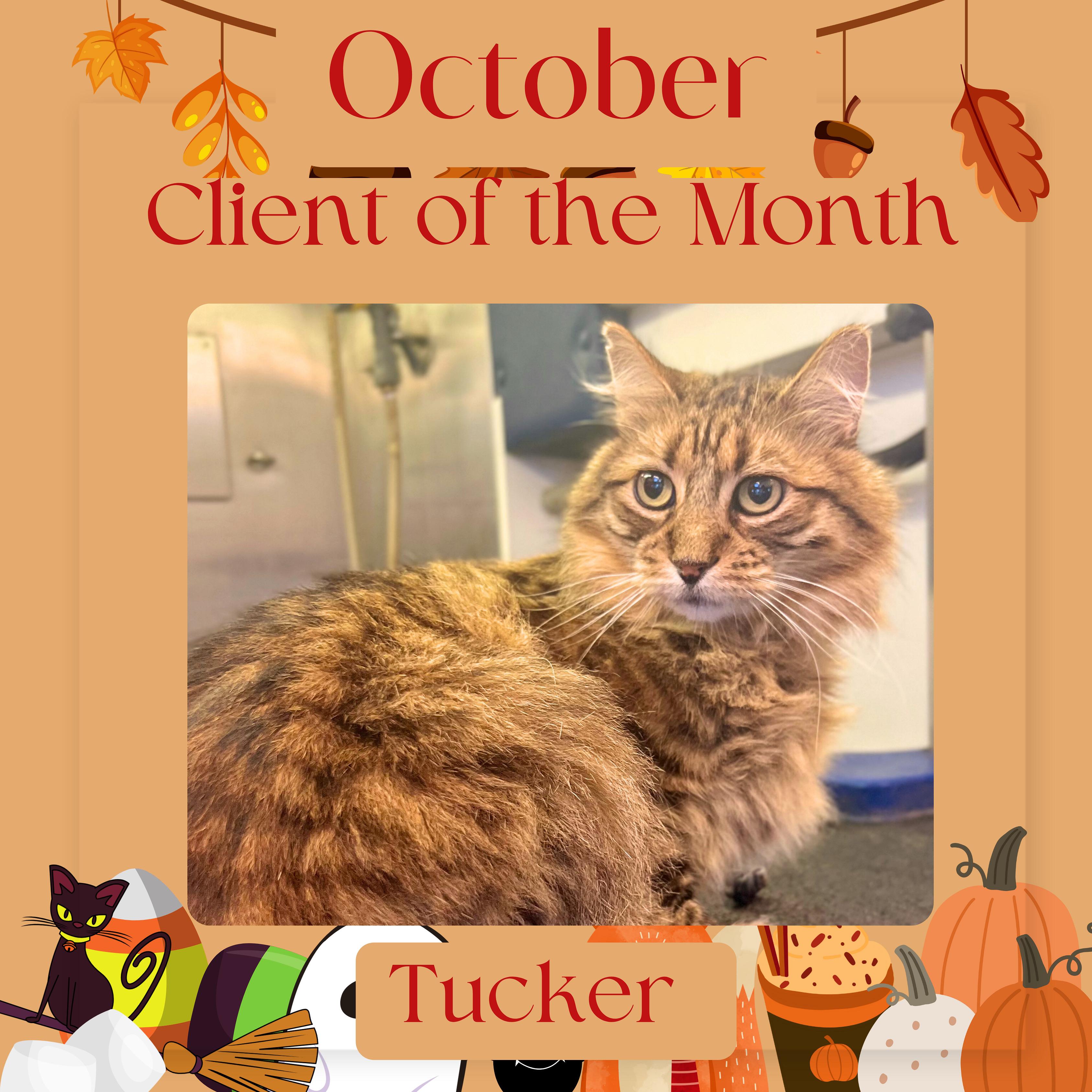 Tucker, October 2025 Client of the Month