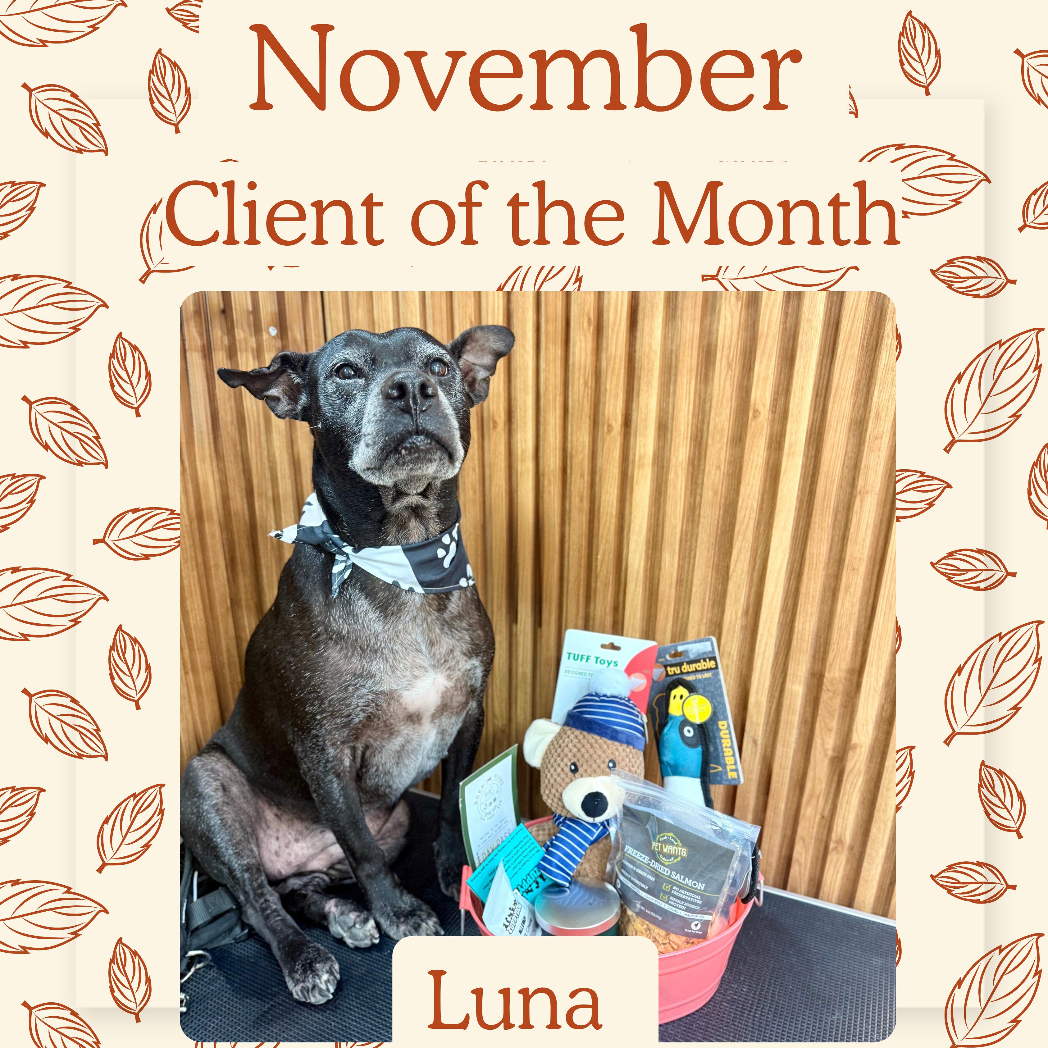 Luna, November 2025 Client of the Month