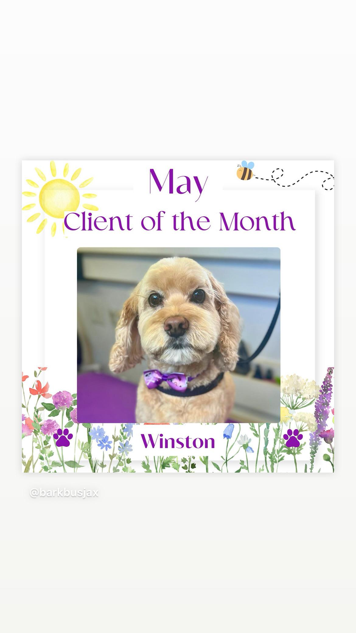 Winston, May 2025 Client of the Month