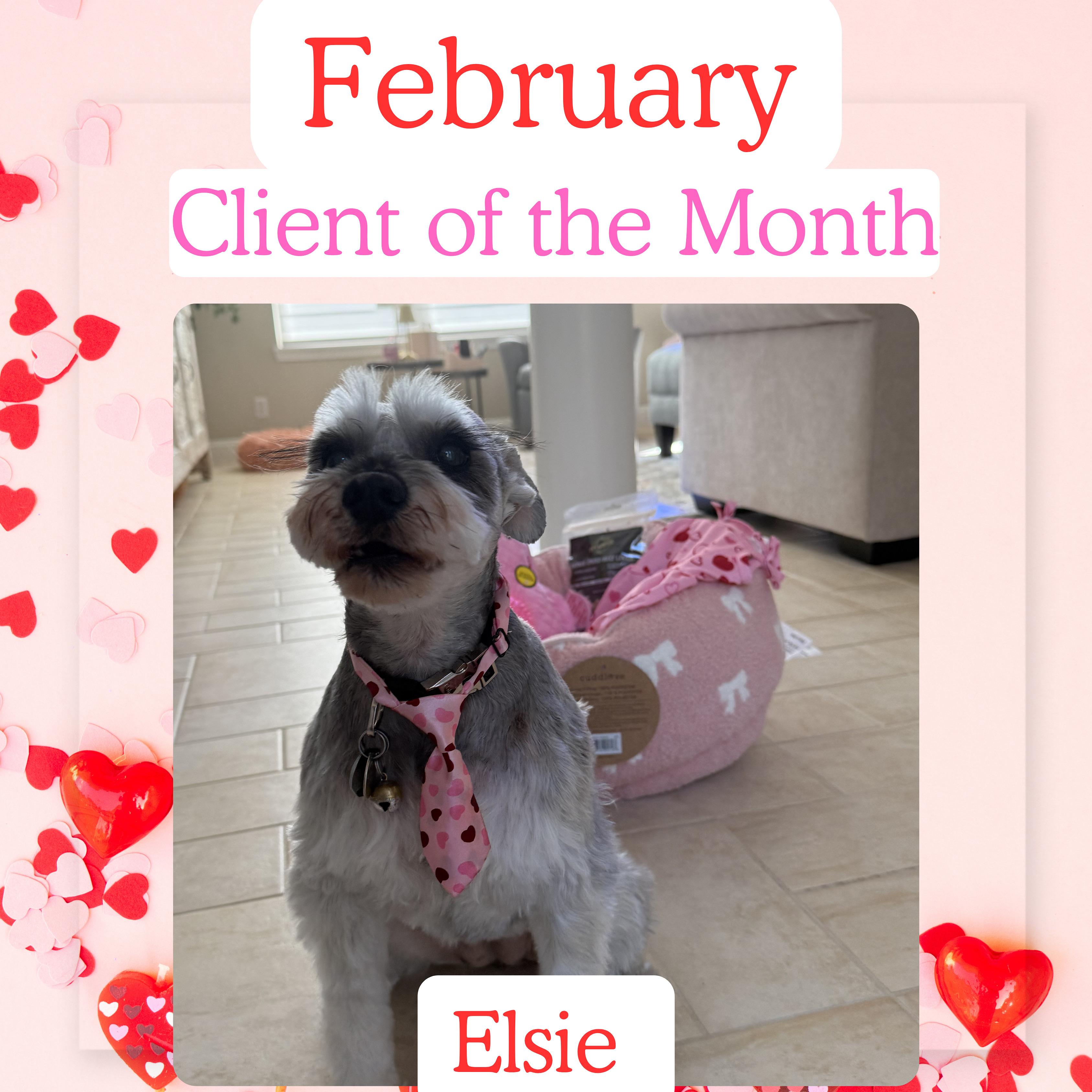 Elsie, February 2026 Client of the Month