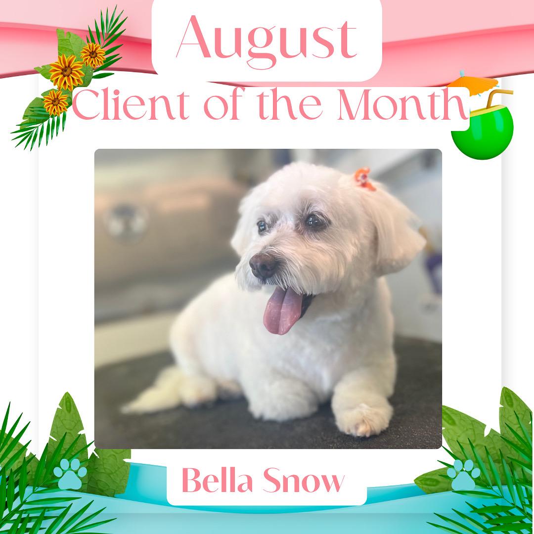 Bella Snow, August 2025 Client of the Month