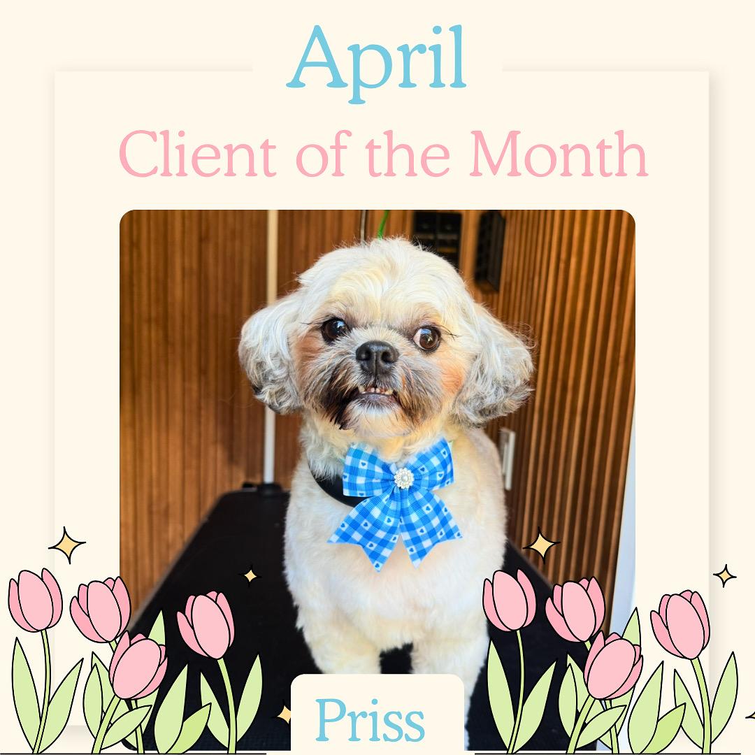 Priss, April 2025 Client of the Month