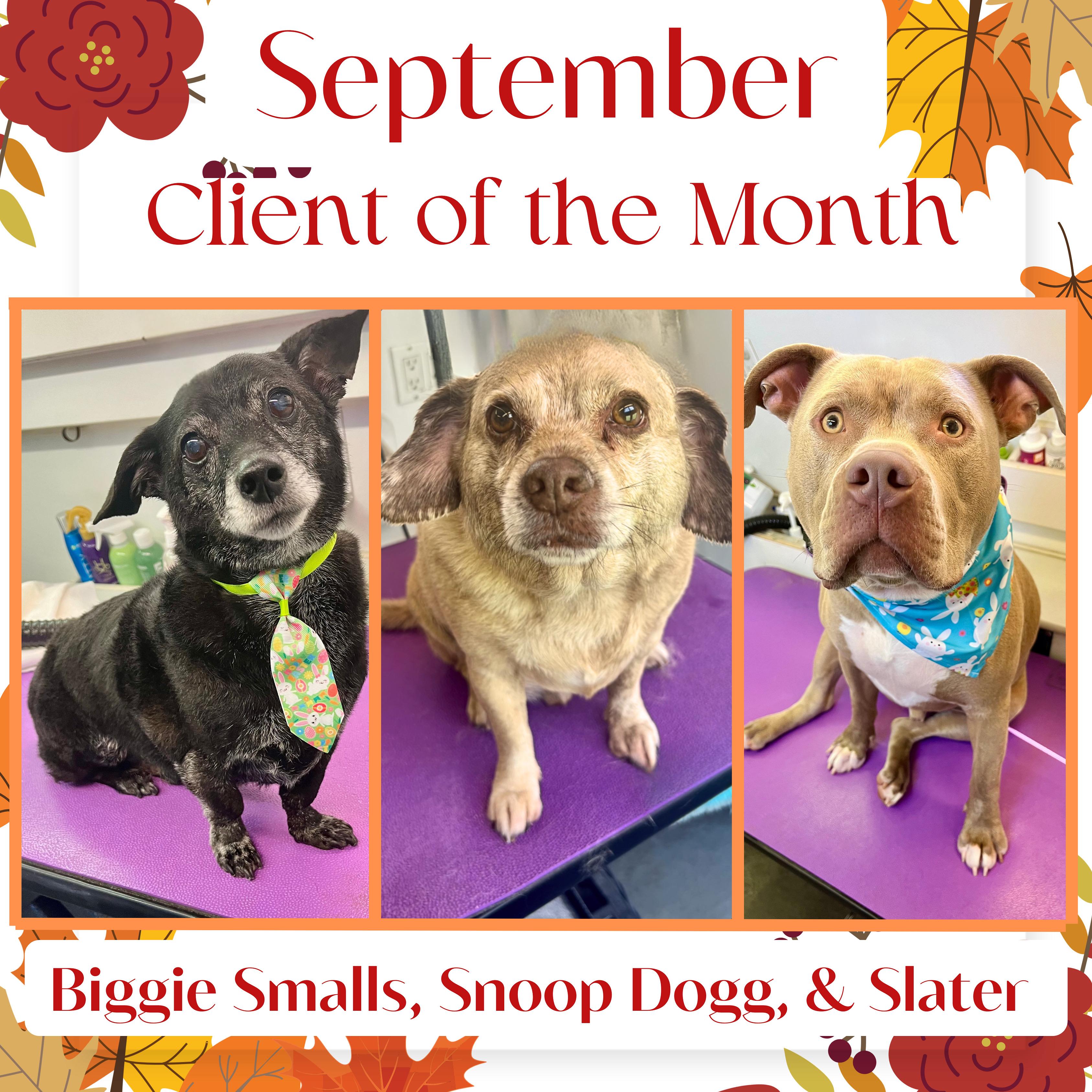 Biggie Smalls, Snoop Dogg & Slater, September 2025 Client of the Month