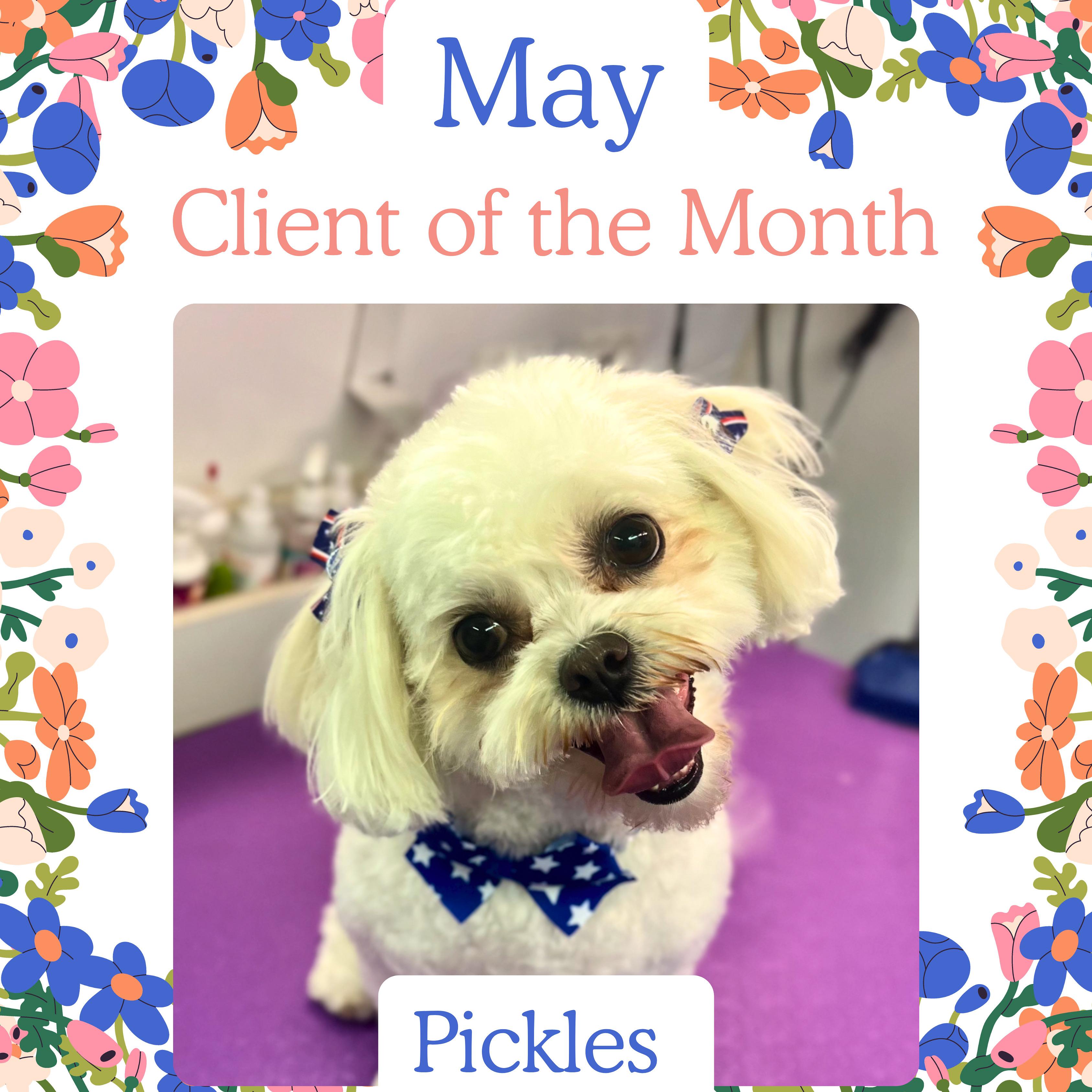 Pickles, May 2026 Client of the Month