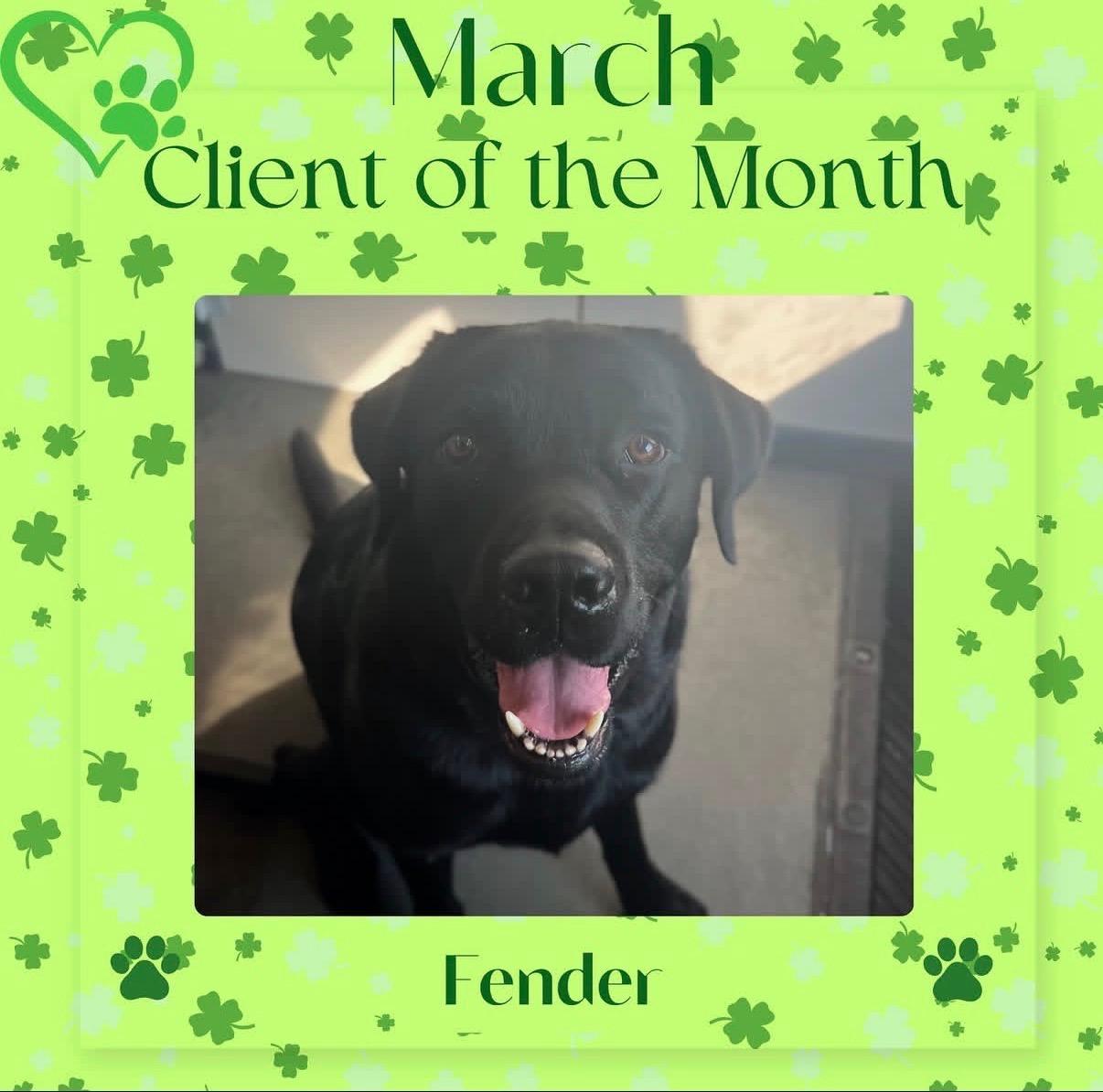 Fender, March 2026 Client of the Month
