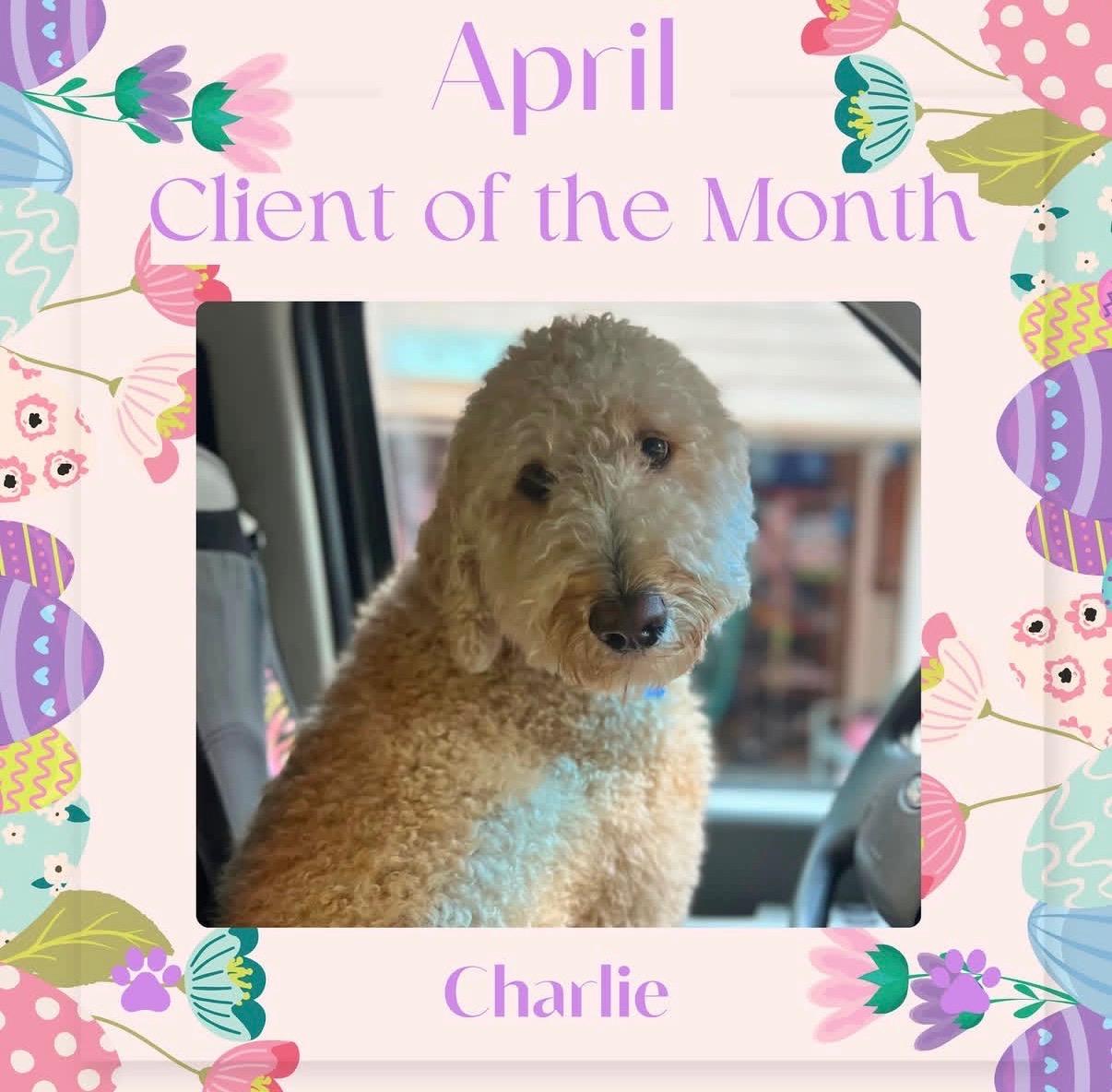 Charlie, April 2026 Client of the Month