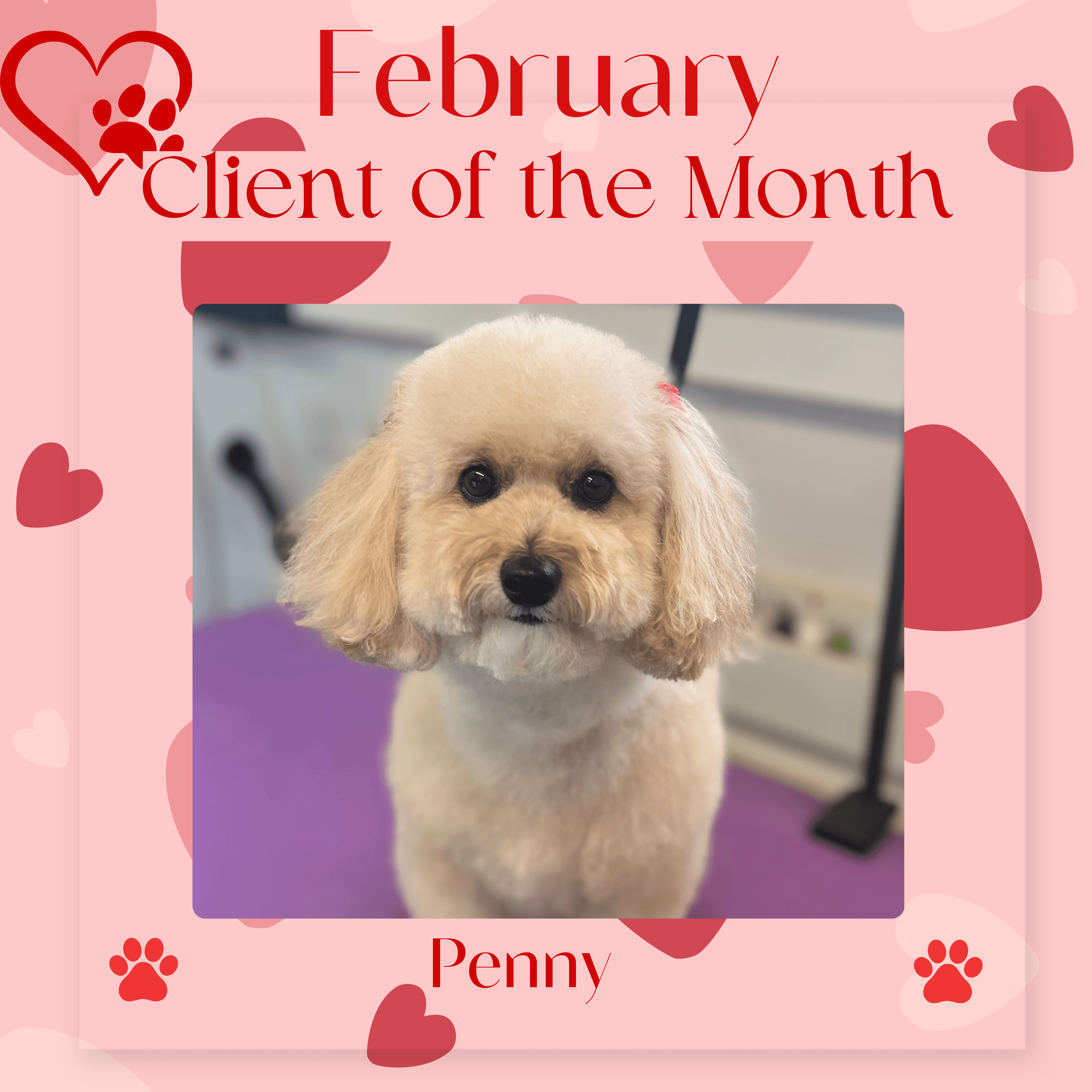 Penny, February 2025 Client of the Month