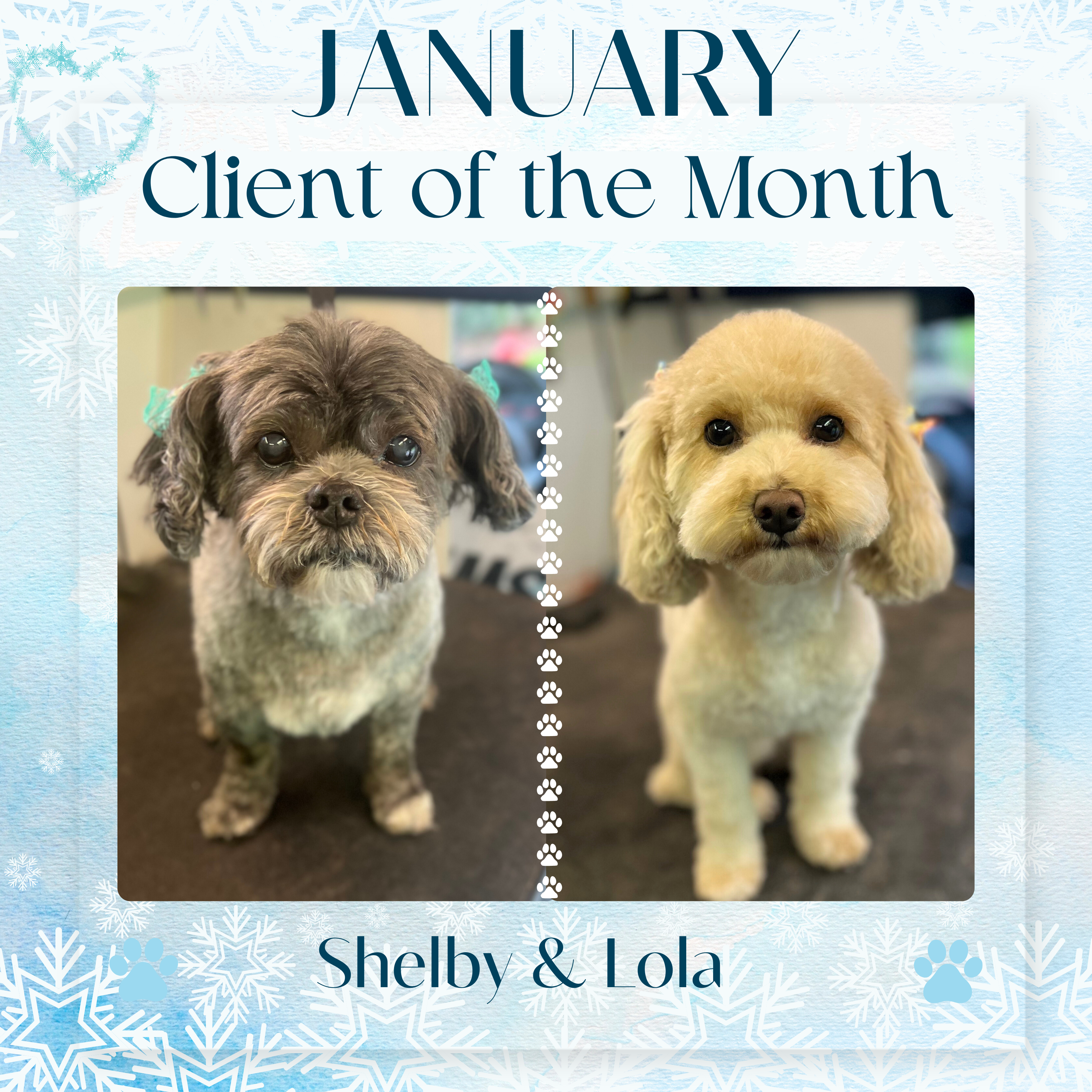 Shelby & Lola, January 2025 Client of the Month