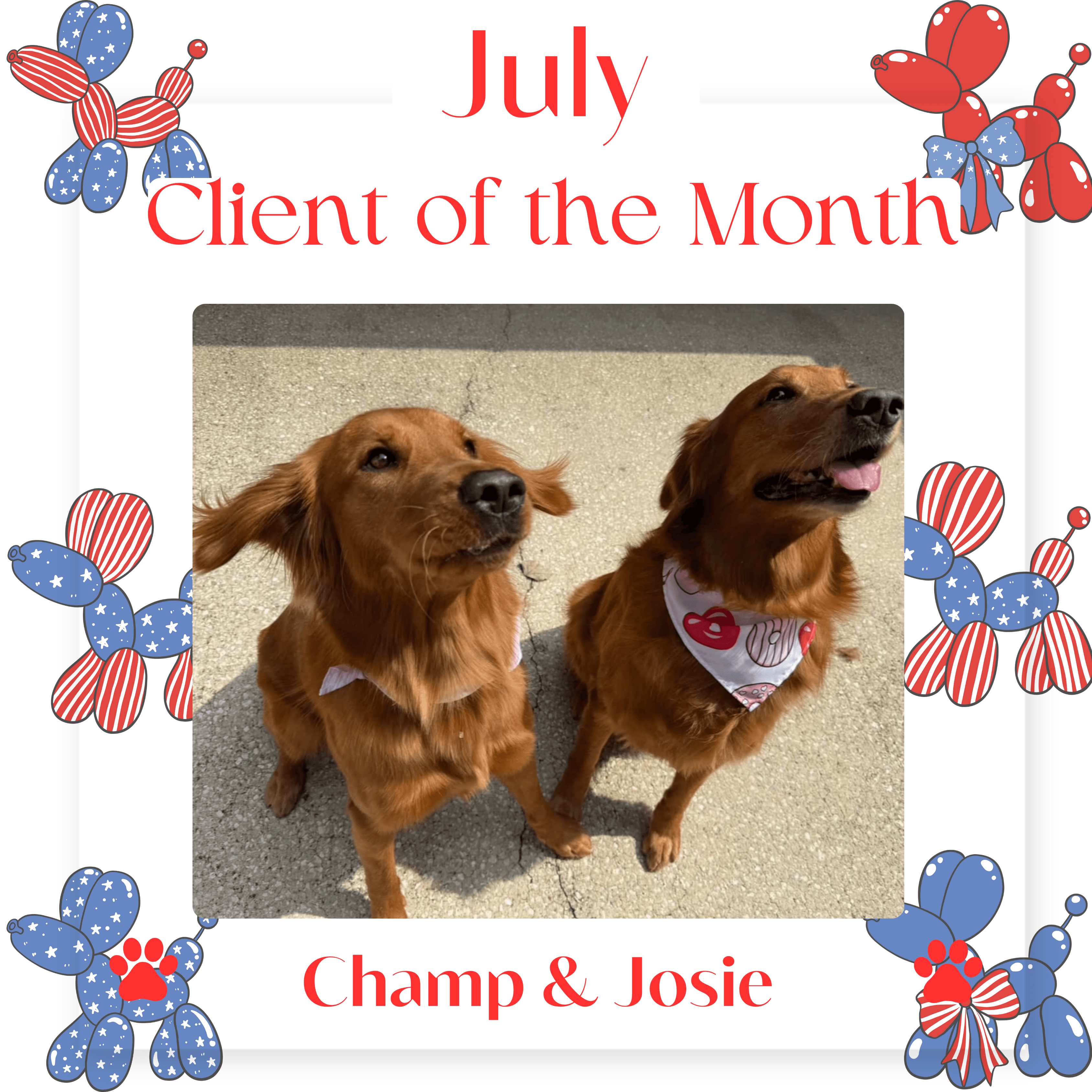 Champ & Josie, July 2025 Client of the Month